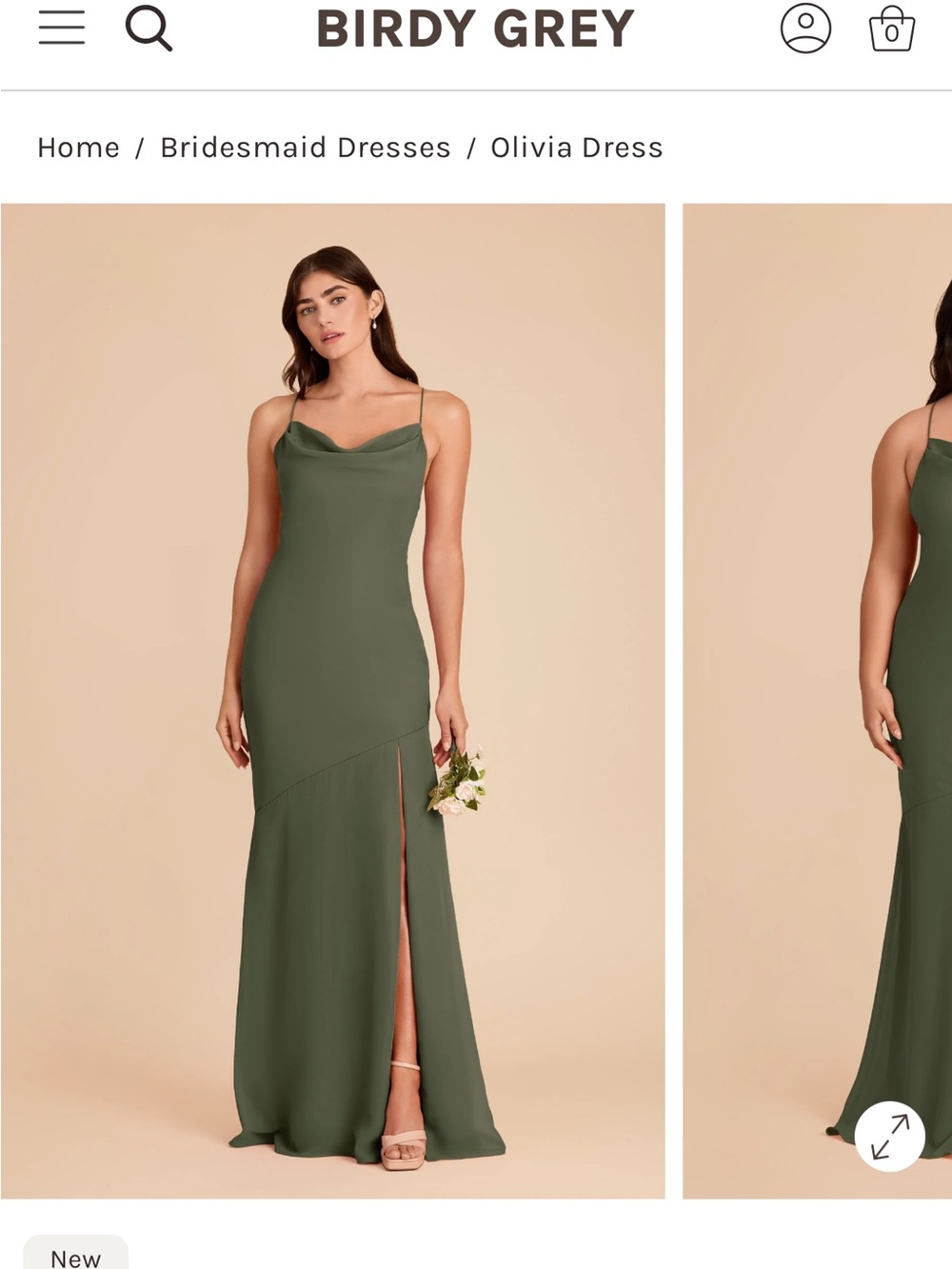 Birdy Grey Chiffon Olive Green Dress